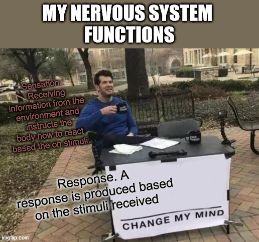 Nervous system | MY NERVOUS SYSTEM 
FUNCTIONS; Sensation:: 
 Receiving information from the environment and instructs the body how to react based the on stimuli. Response. A  response is produced based on the stimuli received | image tagged in memes,change my mind | made w/ Imgflip meme maker