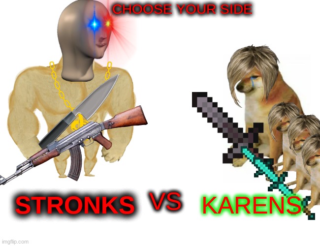 STRONKS VS KARENS | CHOOSE YOUR SIDE; KARENS; STRONKS; VS | image tagged in memes,buff doge vs cheems | made w/ Imgflip meme maker