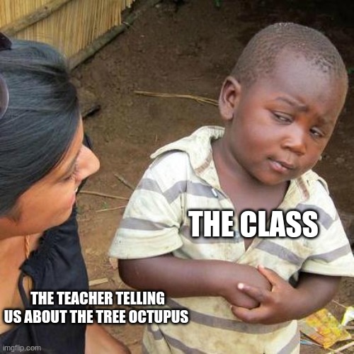 Third World Skeptical Kid Meme | THE CLASS; THE TEACHER TELLING US ABOUT THE TREE OCTUPUS | image tagged in memes,third world skeptical kid | made w/ Imgflip meme maker