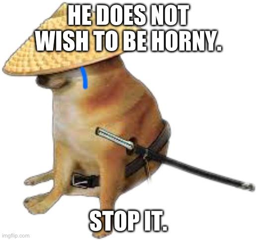 Silence wench | HE DOES NOT WISH TO BE HORNY. STOP IT. | image tagged in silence wench | made w/ Imgflip meme maker