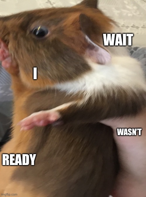 His nam is skinny |  WAIT; I; WASN’T; READY | image tagged in cute | made w/ Imgflip meme maker