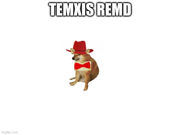 T E M X I S R E M D | TEMXIS REMD | image tagged in blank white template,texas,red | made w/ Imgflip meme maker