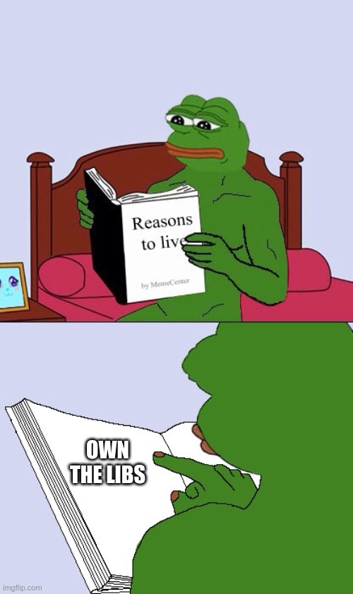 Blank Pepe Reasons to Live | OWN THE LIBS | image tagged in blank pepe reasons to live | made w/ Imgflip meme maker