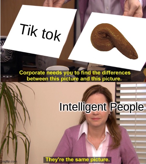 Insert Poop Emoji | Tik tok; Intelligent People | image tagged in memes,they're the same picture | made w/ Imgflip meme maker