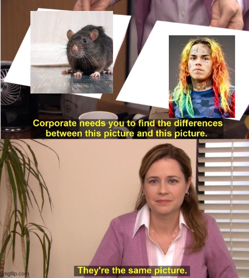 the rat | image tagged in memes,they're the same picture | made w/ Imgflip meme maker