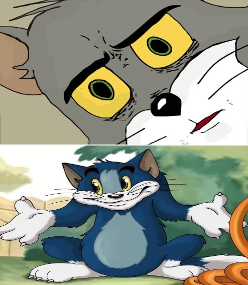 High Quality Tom and Jerry confused but okay with it Blank Meme Template