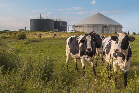 High Quality Anaerobic Digester Blank Meme Template