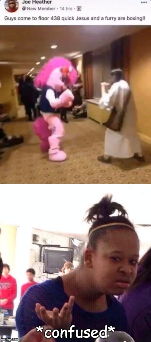 Guys come to floor 438 quick Jesus and a furry are boxing!! | *confused* | image tagged in memes,black girl wat,funny,furry,jesus,boxing | made w/ Imgflip meme maker