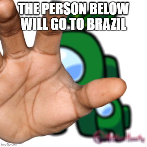 THE PERSON BELOW WILL GO TO BRAZIL | made w/ Imgflip meme maker