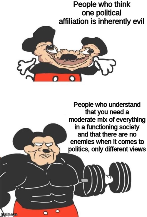 We've all fallen prey to the top one, but you must accept your mistakes and move on. | People who think one political affiliation is inherently evil; People who understand that you need a moderate mix of everything in a functioning society and that there are no enemies when it comes to politics, only different views | image tagged in buff mickey mouse | made w/ Imgflip meme maker
