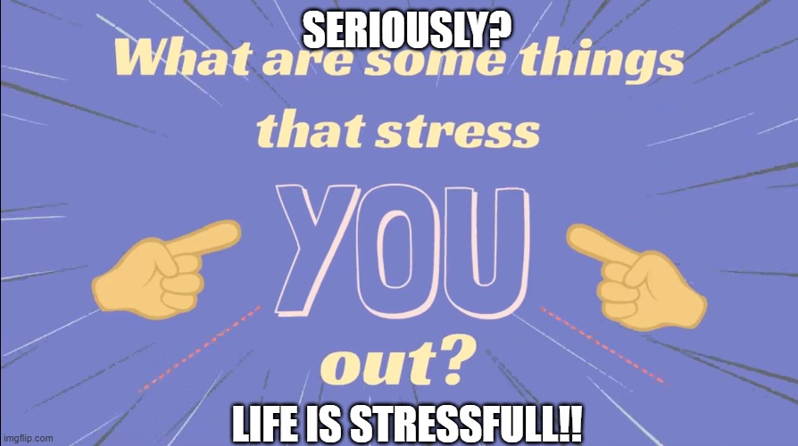 Stress yelling | SERIOUSLY? LIFE IS STRESSFULL!! | image tagged in welp | made w/ Imgflip meme maker