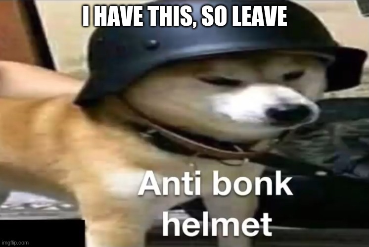 Doge Anti-bonk Helmet | I HAVE THIS, SO LEAVE | image tagged in doge anti-bonk helmet | made w/ Imgflip meme maker