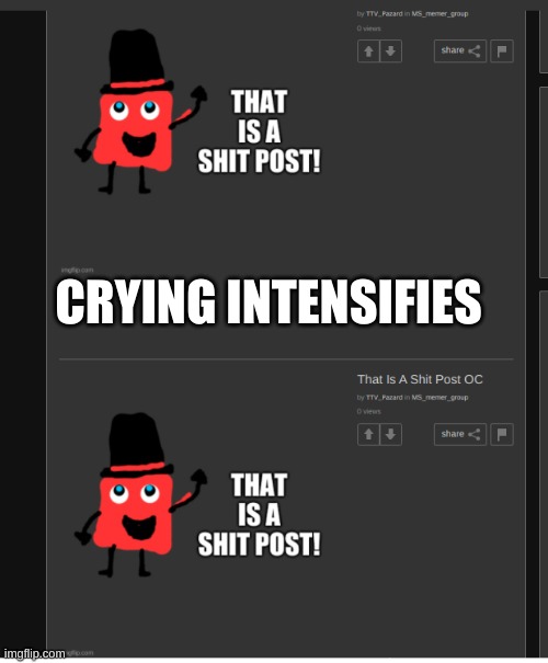 CRYING INTENSIFIES | made w/ Imgflip meme maker