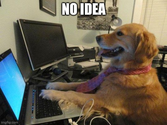 i have no idea | NO IDEA | image tagged in i have no idea | made w/ Imgflip meme maker