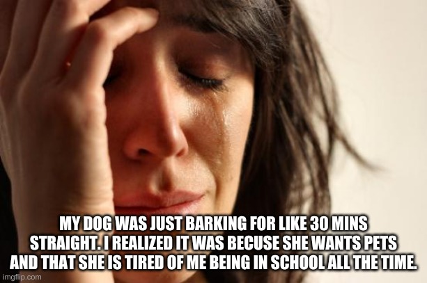 TwT | MY DOG WAS JUST BARKING FOR LIKE 30 MINS STRAIGHT. I REALIZED IT WAS BECUSE SHE WANTS PETS AND THAT SHE IS TIRED OF ME BEING IN SCHOOL ALL THE TIME. | image tagged in memes,first world problems | made w/ Imgflip meme maker