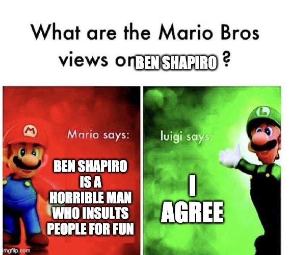 Mario Bros Views |  BEN SHAPIRO; BEN SHAPIRO IS A HORRIBLE MAN WHO INSULTS PEOPLE FOR FUN; I AGREE | image tagged in mario bros views | made w/ Imgflip meme maker