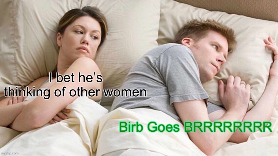 I Bet He's Thinking About Other Women Meme | I bet he’s thinking of other women; Birb Goes BRRRRRRRR | image tagged in memes,i bet he's thinking about other women | made w/ Imgflip meme maker