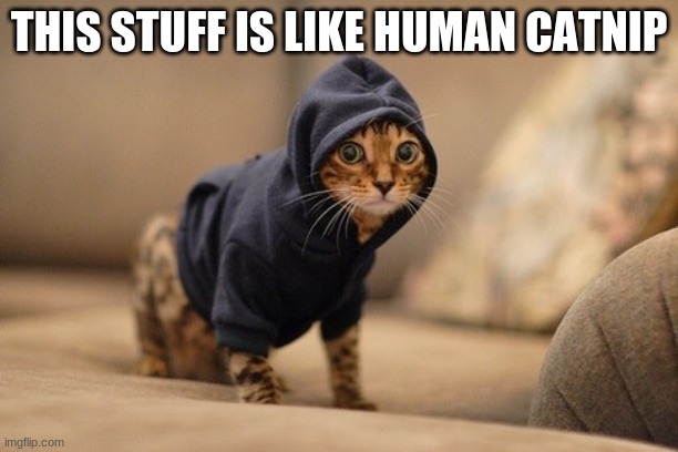 Hoody Cat Meme |  THIS STUFF IS LIKE HUMAN CATNIP | image tagged in memes,hoody cat | made w/ Imgflip meme maker