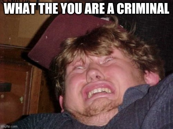 WTF Meme | WHAT THE YOU ARE A CRIMINAL | image tagged in memes,wtf | made w/ Imgflip meme maker