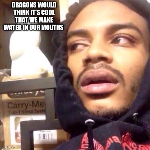 not really a shower thought but its interesting | DRAGONS WOULD THINK IT'S COOL THAT WE MAKE WATER IN OUR MOUTHS | image tagged in coffee enema high thoughts | made w/ Imgflip meme maker