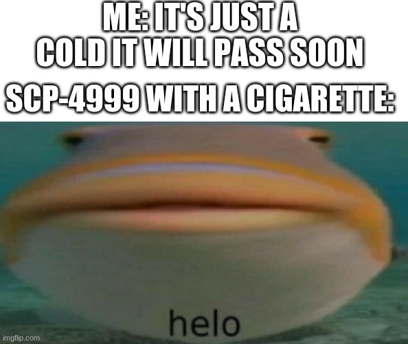 ME: IT'S JUST A COLD IT WILL PASS SOON; SCP-4999 WITH A CIGARETTE: | image tagged in memes,blank transparent square,helo | made w/ Imgflip meme maker