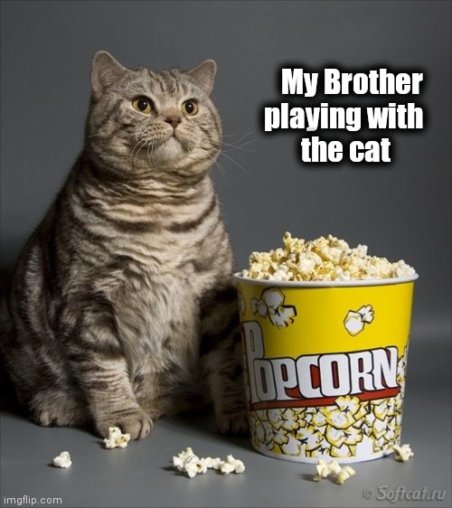 Cat eating popcorn | My Brother  
playing with  
the cat | image tagged in cat eating popcorn | made w/ Imgflip meme maker