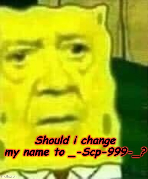 Should i change my name to _-Scp-999-_? | made w/ Imgflip meme maker
