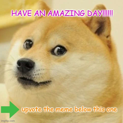 pigz | HAVE AN AMAZING DAY!!!!!! upvote the meme below this one | image tagged in memes,doge | made w/ Imgflip meme maker