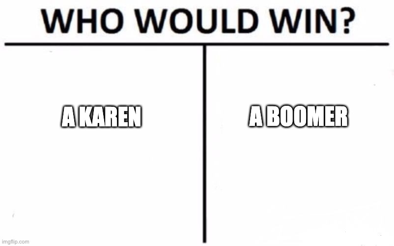 Who Would Win? | A KAREN; A BOOMER | image tagged in memes,who would win | made w/ Imgflip meme maker