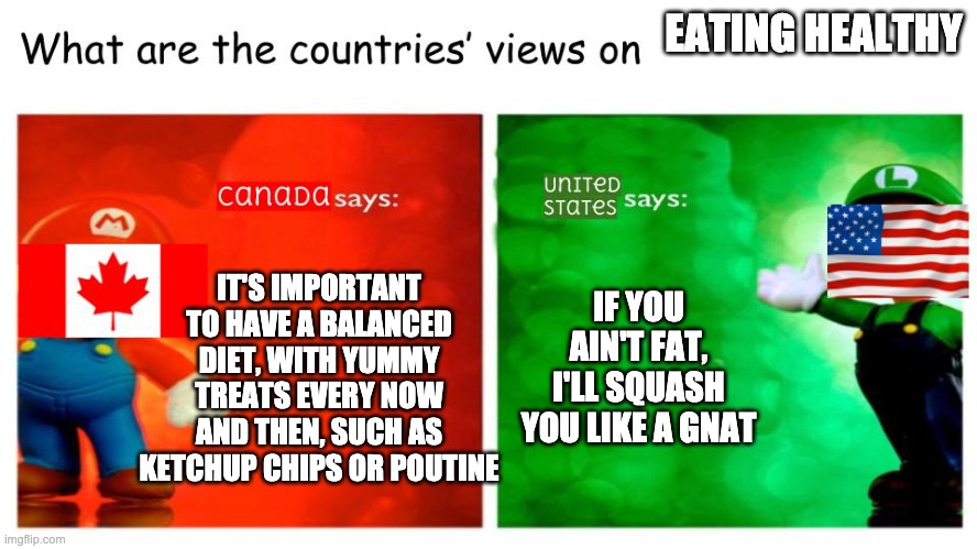 new template! | EATING HEALTHY; IT'S IMPORTANT TO HAVE A BALANCED DIET, WITH YUMMY TREATS EVERY NOW AND THEN, SUCH AS KETCHUP CHIPS OR POUTINE; IF YOU AIN'T FAT, I'LL SQUASH YOU LIKE A GNAT | image tagged in what are the countries' views on | made w/ Imgflip meme maker