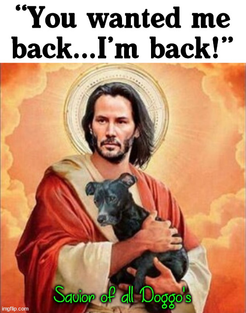 Savior of all Doggo's “You wanted me back...I’m back!” | image tagged in dogs | made w/ Imgflip meme maker