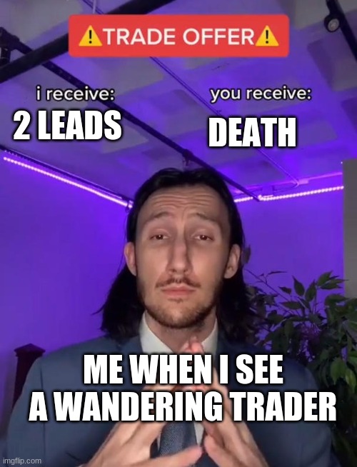 Trade Offer | 2 LEADS DEATH ME WHEN I SEE A WANDERING TRADER | image tagged in trade offer | made w/ Imgflip meme maker