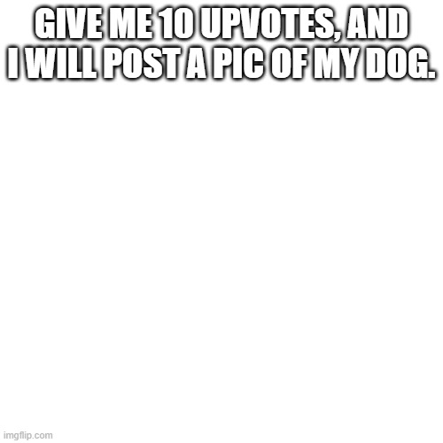 yes |  GIVE ME 10 UPVOTES, AND I WILL POST A PIC OF MY DOG. | image tagged in memes | made w/ Imgflip meme maker