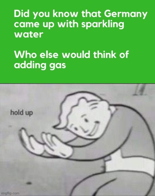 Wot | image tagged in fallout hold up,dark humor,nazis,wtf,gas | made w/ Imgflip meme maker
