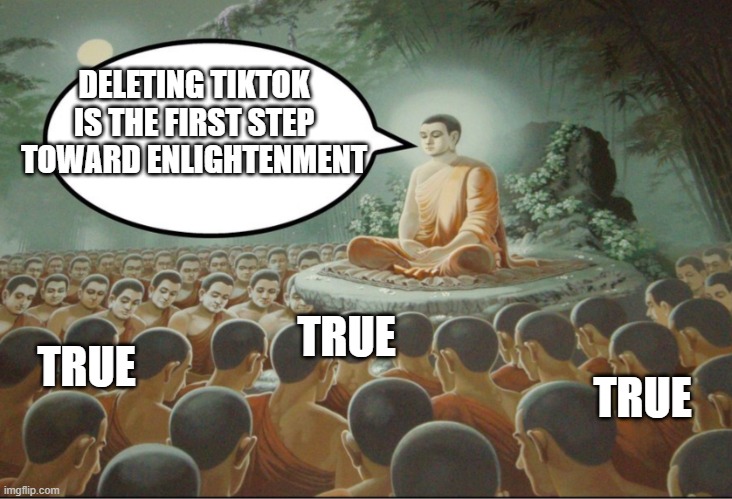 Buddha Teaching Followers | DELETING TIKTOK IS THE FIRST STEP TOWARD ENLIGHTENMENT; TRUE; TRUE; TRUE | image tagged in buddha teaching followers | made w/ Imgflip meme maker