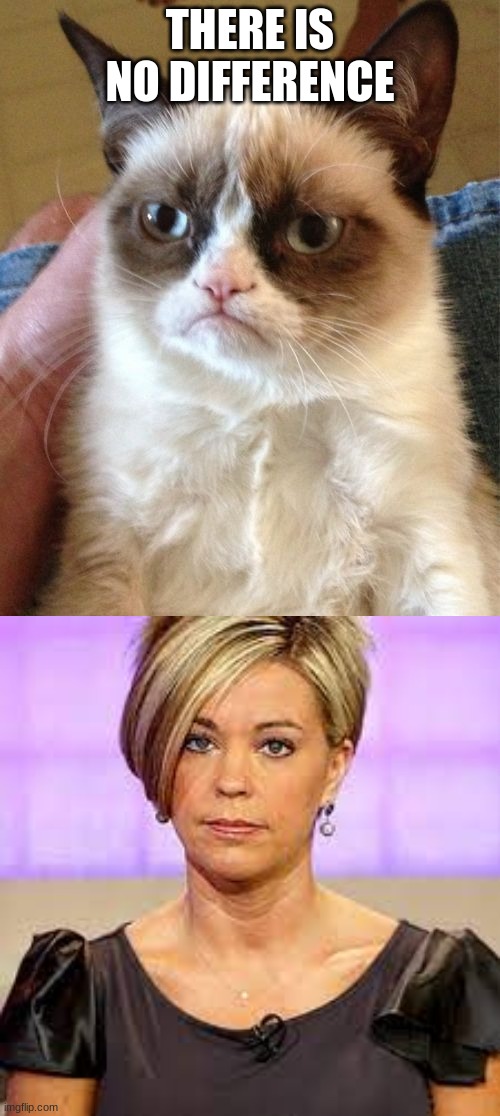 lmao | THERE IS NO DIFFERENCE | image tagged in memes,grumpy cat | made w/ Imgflip meme maker