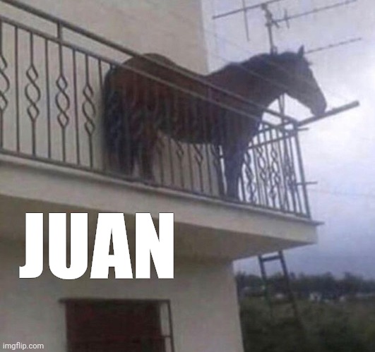 JUAN | JUAN | image tagged in juan | made w/ Imgflip meme maker