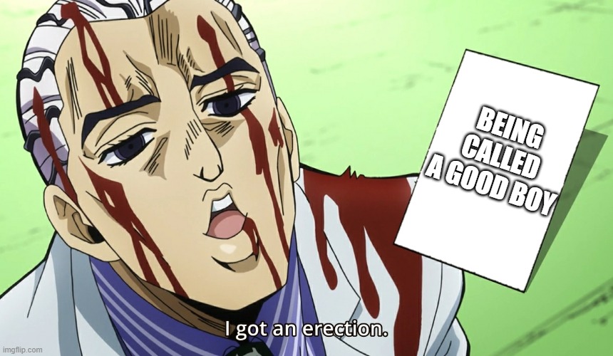 Kira Erection Meme | BEING CALLED A GOOD BOY | image tagged in kira erection meme | made w/ Imgflip meme maker