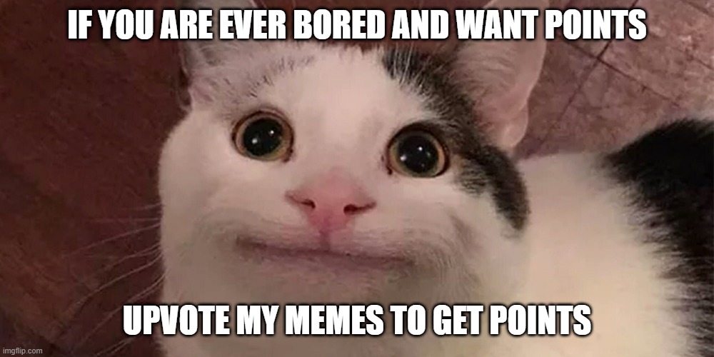Dew it | IF YOU ARE EVER BORED AND WANT POINTS; UPVOTE MY MEMES TO GET POINTS | image tagged in yeese,cuz yes,memes,polite cat | made w/ Imgflip meme maker