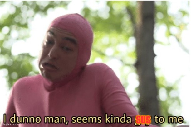 I dunno man seems kinda gay to me | SUS | image tagged in i dunno man seems kinda gay to me | made w/ Imgflip meme maker