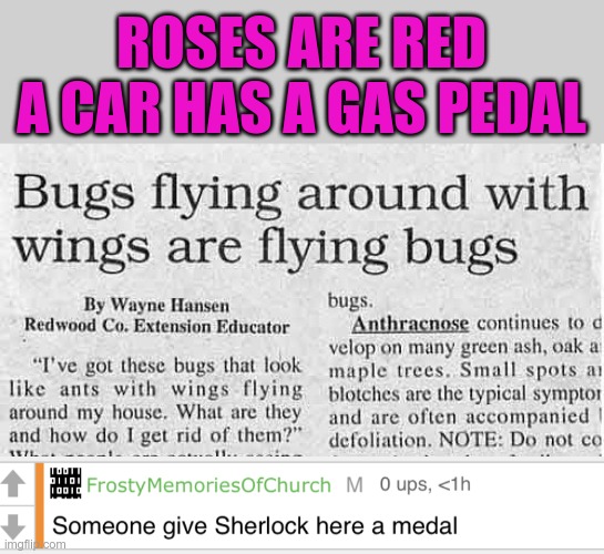 Who'da thunk?! | ROSES ARE RED
A CAR HAS A GAS PEDAL | image tagged in someone give sherlock here a medal,roses are red,flying bugs fly around with wings,who in the world,comes up with these things | made w/ Imgflip meme maker