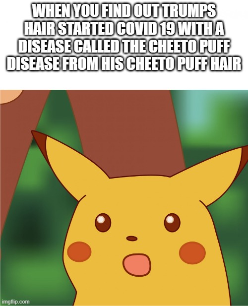 Surprised Pikachu (High Quality) | WHEN YOU FIND OUT TRUMPS HAIR STARTED COVID 19 WITH A DISEASE CALLED THE CHEETO PUFF DISEASE FROM HIS CHEETO PUFF HAIR | image tagged in surprised pikachu high quality | made w/ Imgflip meme maker