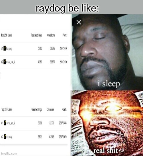 whomst has summoned the almighty one | raydog be like: | image tagged in memes,sleeping shaq | made w/ Imgflip meme maker