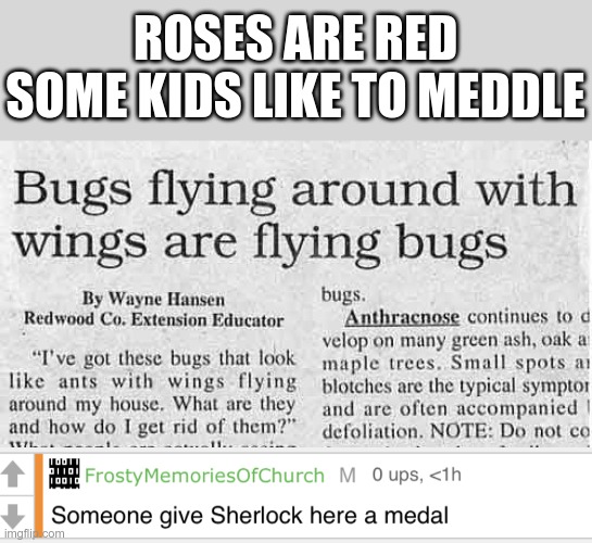 I like to imagine a lot some of these headlines are created using mad libs | ROSES ARE RED
SOME KIDS LIKE TO MEDDLE | image tagged in someone give sherlock here a medal,thanks for that tidbit,captain obvious,flying bugs | made w/ Imgflip meme maker