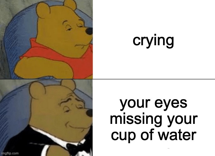 get in there stupid water | crying; your eyes missing your cup of water | image tagged in memes,tuxedo winnie the pooh,water | made w/ Imgflip meme maker