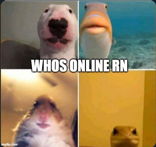 online classes | WHOS ONLINE RN | image tagged in online classes | made w/ Imgflip meme maker