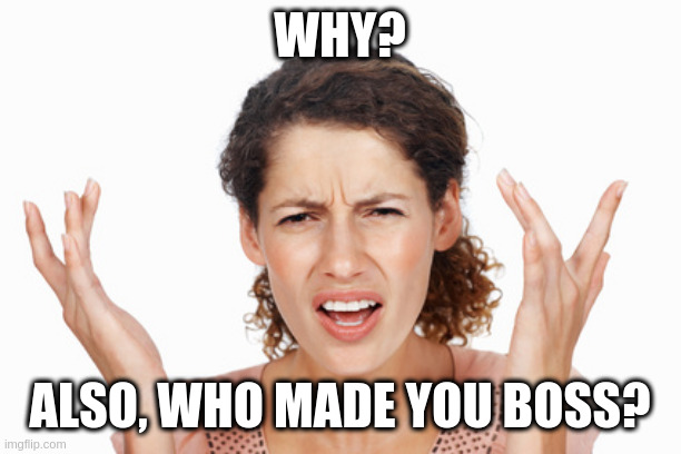 Indignant | WHY? ALSO, WHO MADE YOU BOSS? | image tagged in indignant | made w/ Imgflip meme maker