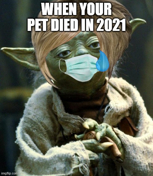 sad 2021 | WHEN YOUR PET DIED IN 2021 | image tagged in pets,2021,star wars | made w/ Imgflip meme maker