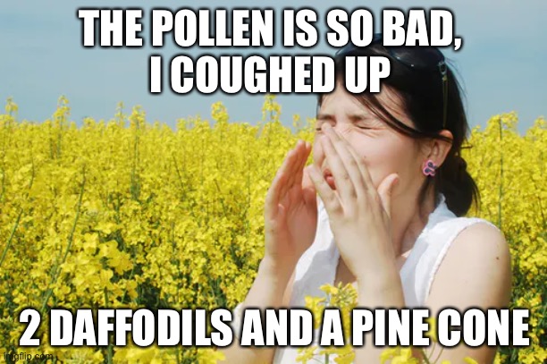 THE POLLEN IS SO BAD, 
I COUGHED UP; 2 DAFFODILS AND A PINE CONE | image tagged in pollen,allergies | made w/ Imgflip meme maker