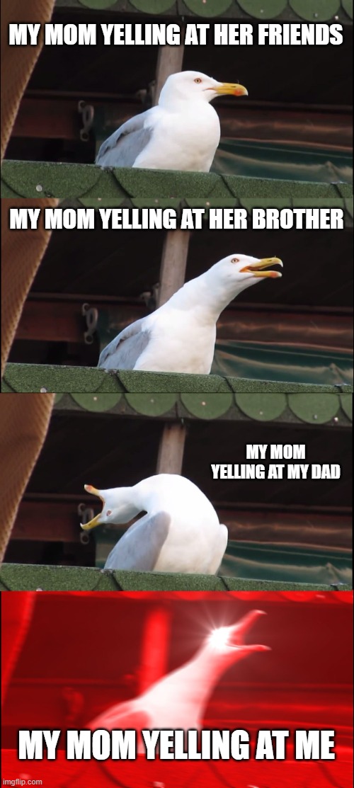 Inhaling Seagull | MY MOM YELLING AT HER FRIENDS; MY MOM YELLING AT HER BROTHER; MY MOM YELLING AT MY DAD; MY MOM YELLING AT ME | image tagged in memes,inhaling seagull | made w/ Imgflip meme maker